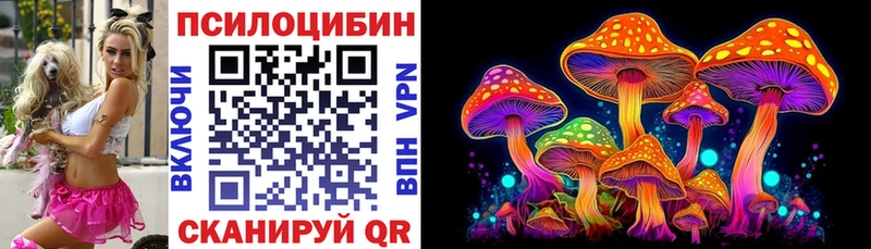 Галлюциногенные грибы Magic Shrooms купить наркотики сайты Кукмор