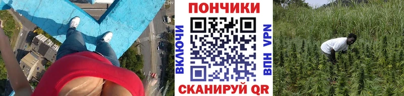 закладки  мега ТОР  Конопля AK-47  Кукмор 